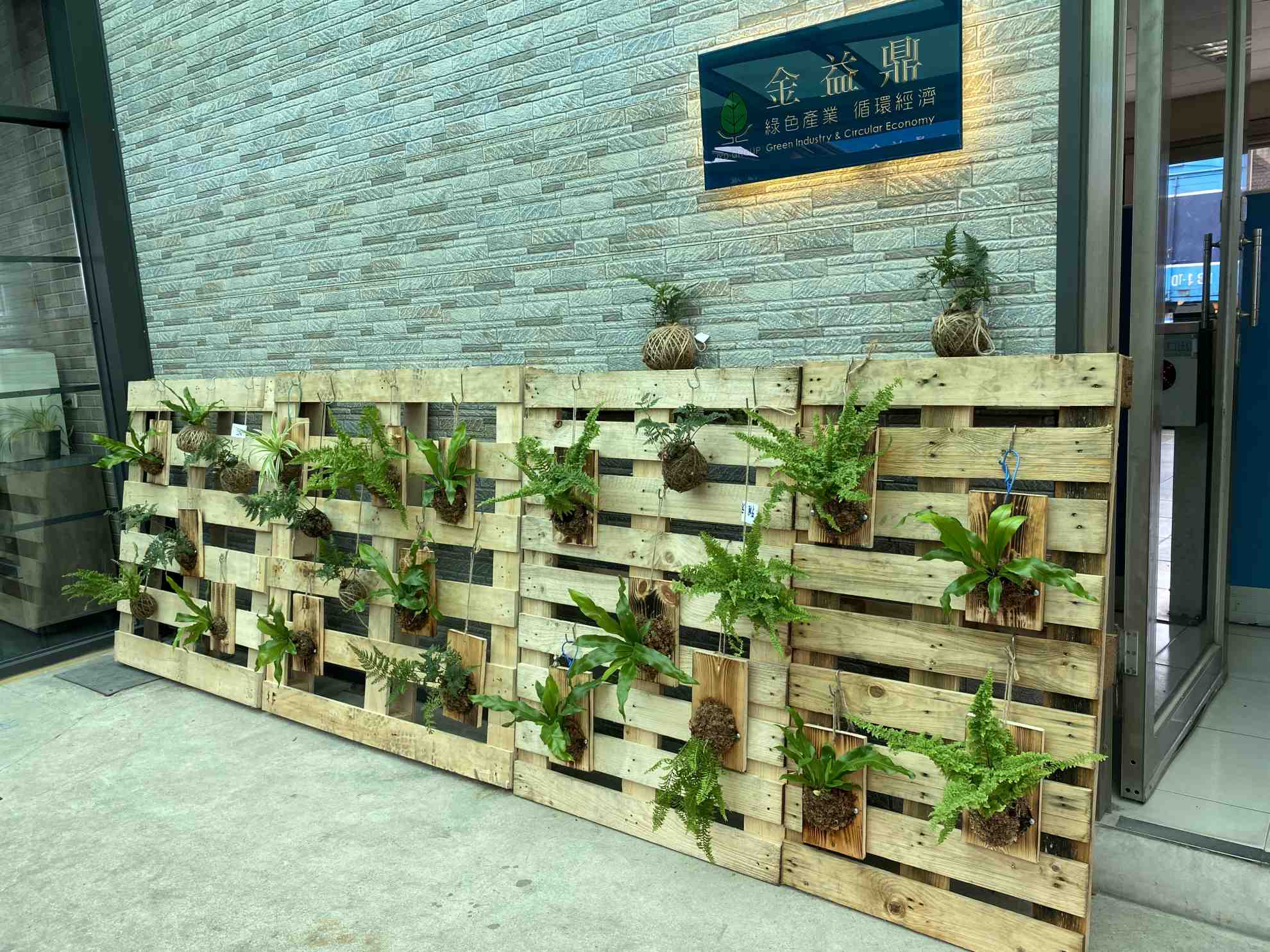 2023年6月17日金益鼎環保愛地球-手作DIY苔球植物活動