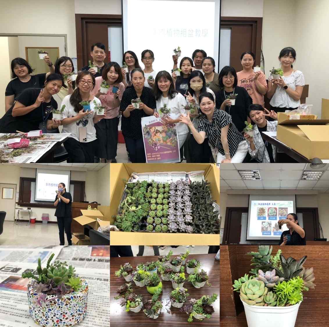 2025年5月17日 多肉時光 緑意生活 2025年5月17日 多肉時光 緑意生活