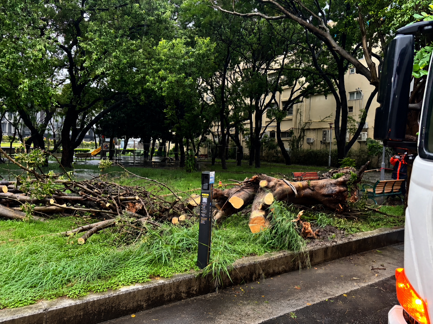 2026年7月11日風雨無阻守護家園!金益鼎接獲新竹市環保局通知 迅速出動二部夾子車馳援清理「巴威」強烈颱風倒塌樹木 2026年7月11日風雨無阻守護家園!金益鼎接獲新竹市環保局通知 迅速出動二部夾子車馳援清理「巴威」強烈颱風倒塌樹木