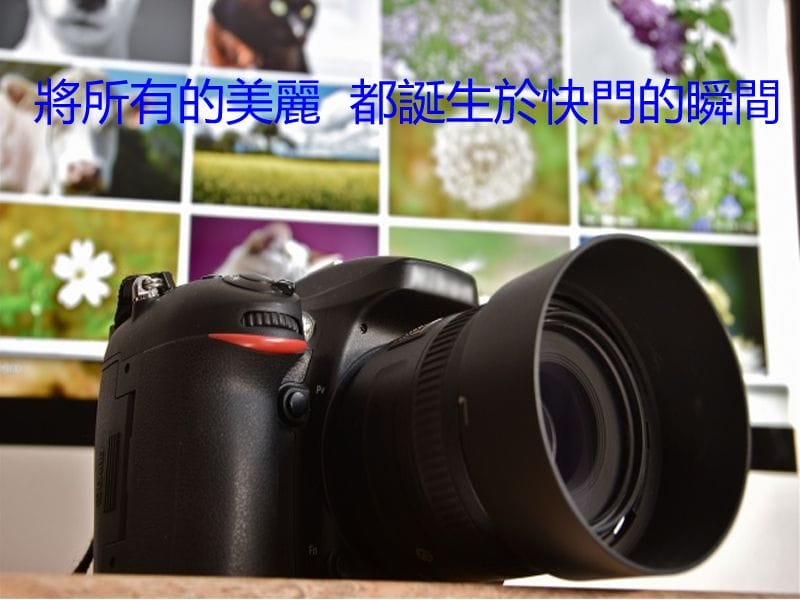 攝影社活動內容及照片